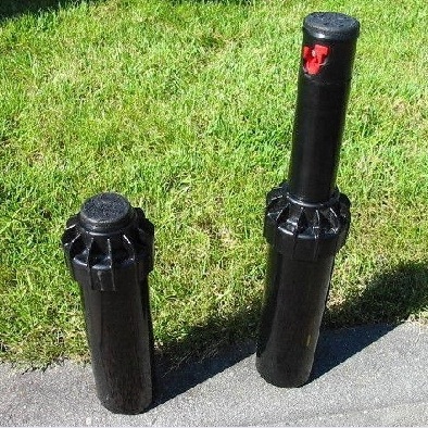 2734.jpg