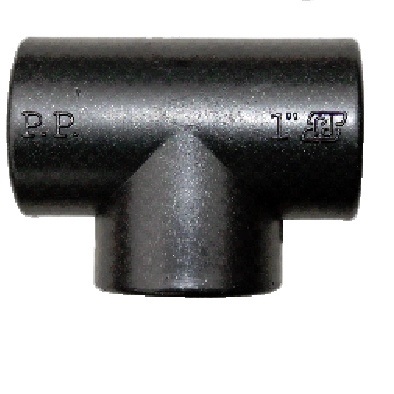2969.jpg